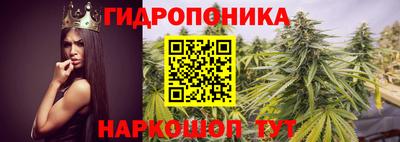 apvp Пенза