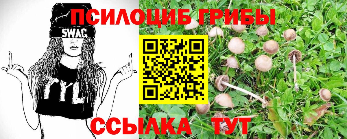 Липецк  Псилоцибиновые грибы Psilocybine cubensis  Псилоцибиновые грибы Psilocybine cubensis  Вход с VPN 