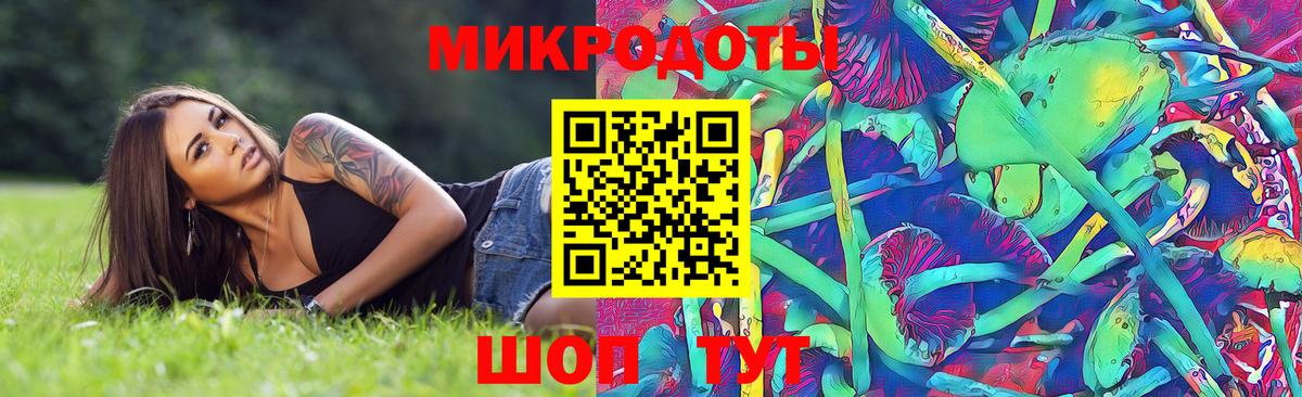 Псилоцибиновые грибы мухоморы Липецк